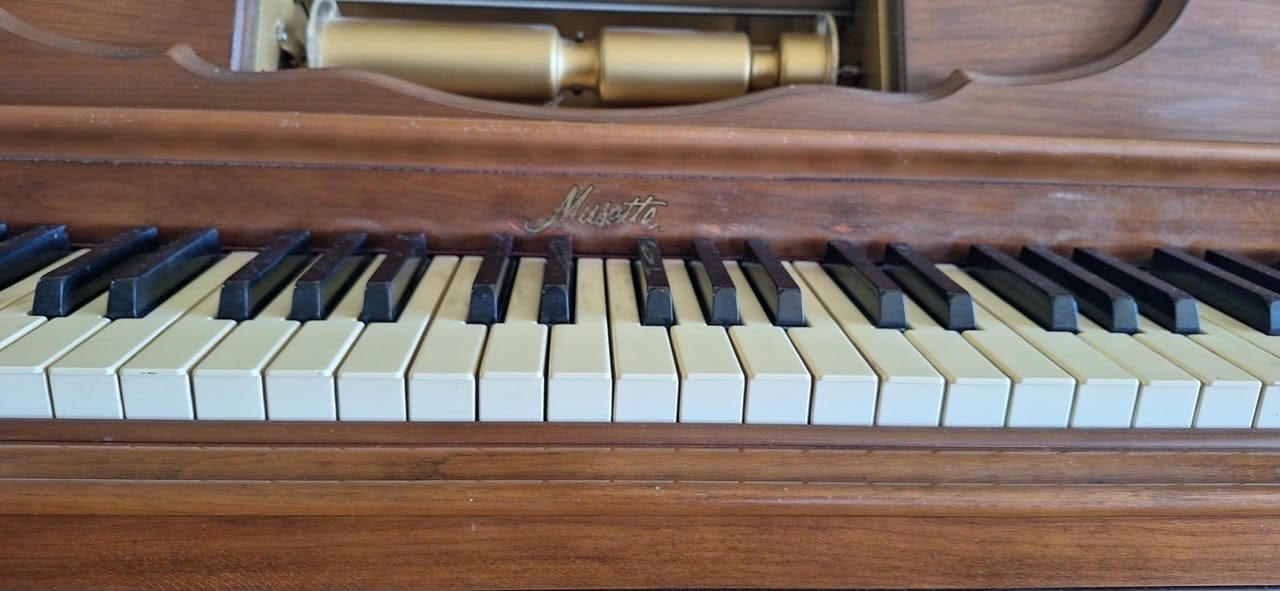 *BACK BY POPULAR DEMAND* Waterford MI Estate Sale—VINTAGE GALORE!! Fashion Art Furniture Collectibles